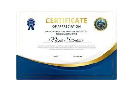 digital skills institute in haldwani